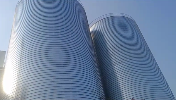 固安2座混凝土高架卷板仓